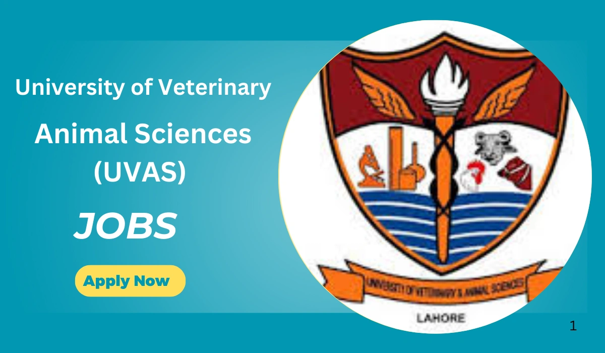 University of Veterinary and Animal Sciences (UVAS) Jobs